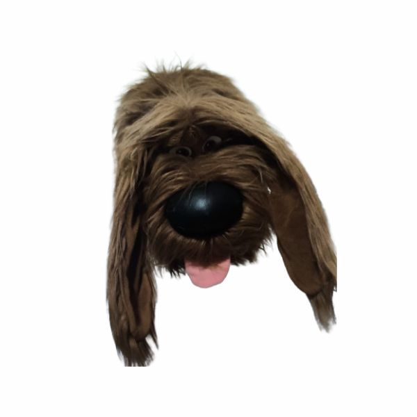 A vida secreta dos pets - Duke G